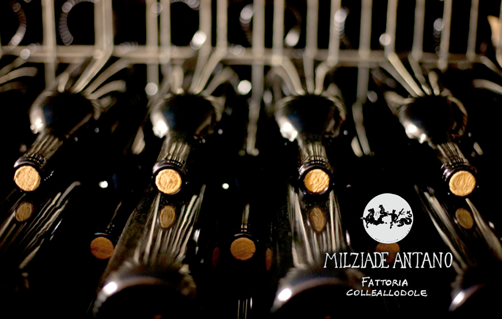 Milziade Antano - Fattoria Colleallodole